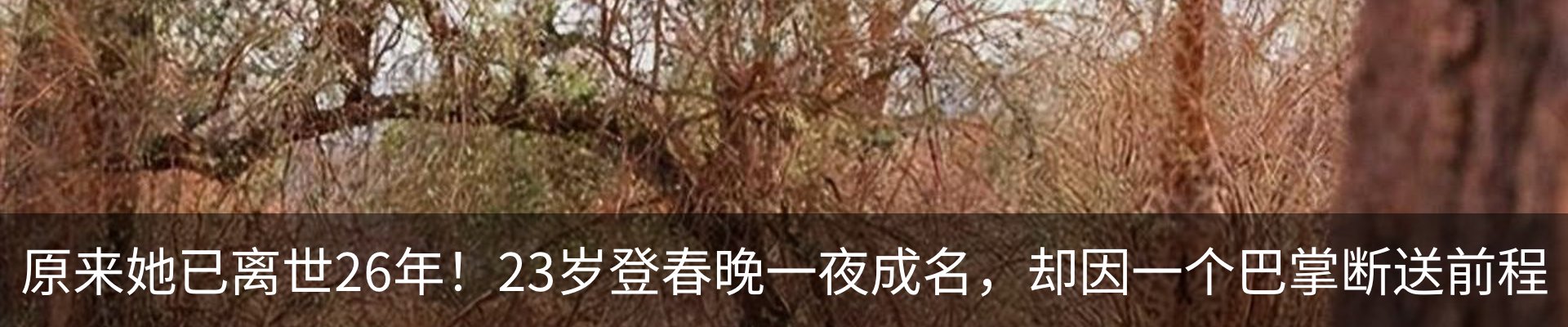 内页banner