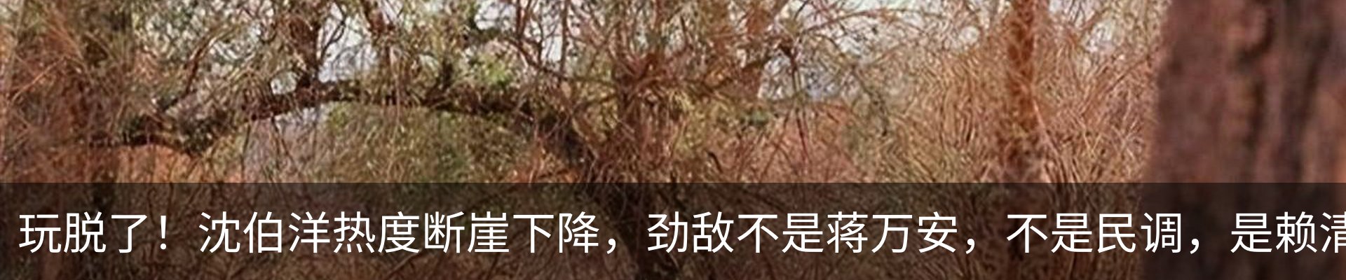 内页banner