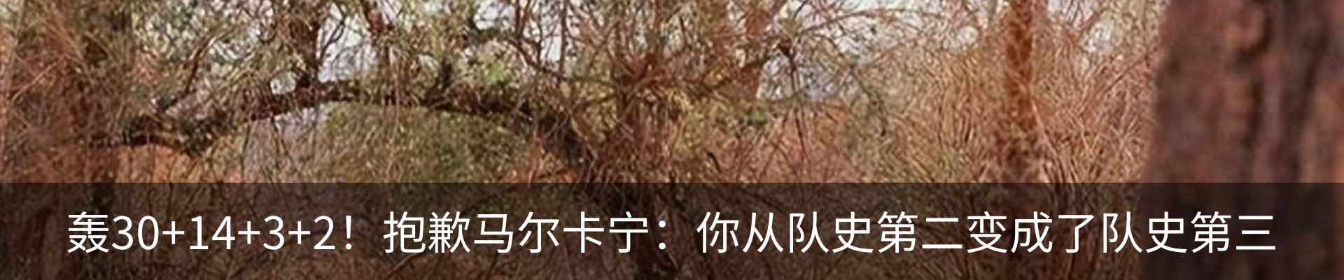 内页banner